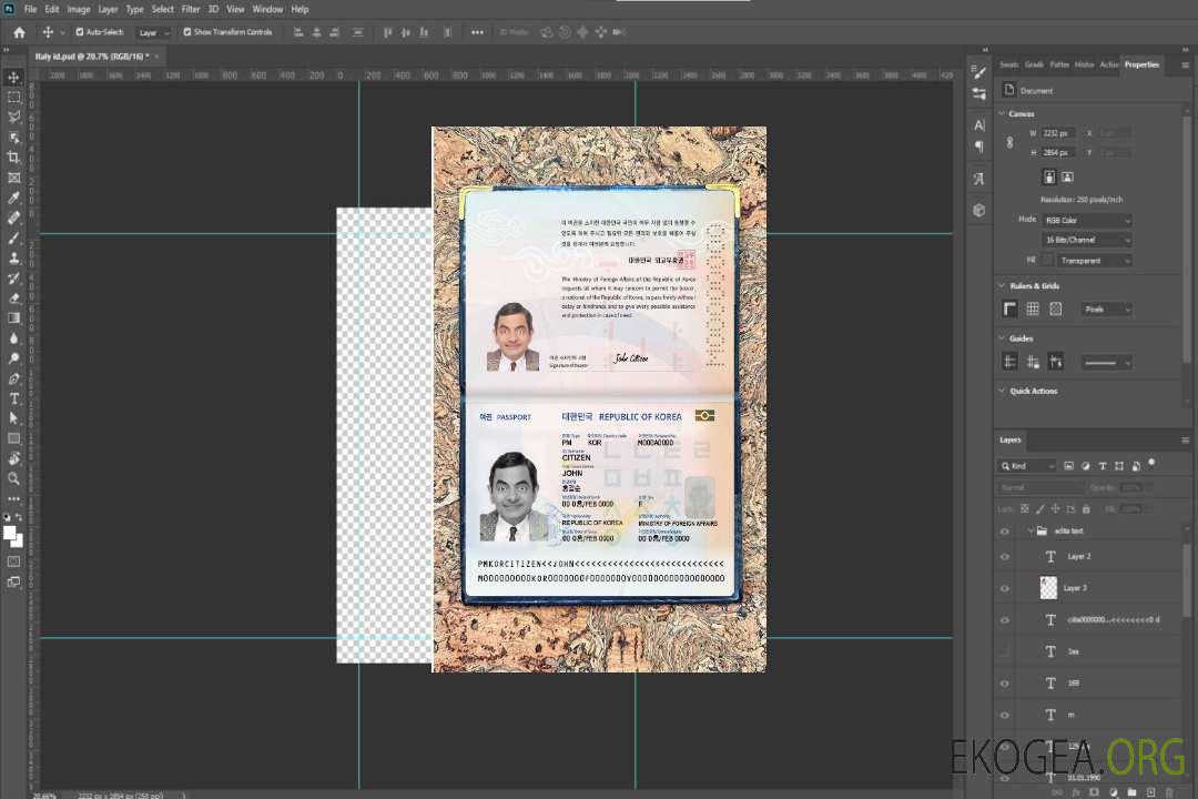 Aperçu de la photo du passeport coréen (2021-présent) template